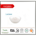 Polylysine Poly Lysine de conservateur d&#39;additif alimentaire cas No. 25104-18-1